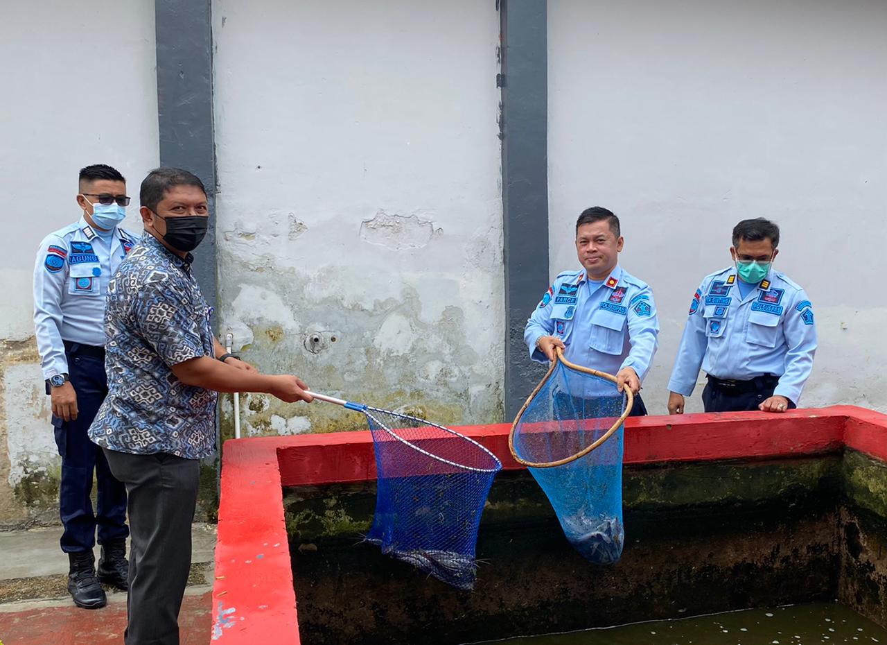 Sukses Panen Puluhan Kg, Rutan Dumai Kembali Tebar Bibit Ikan Lele