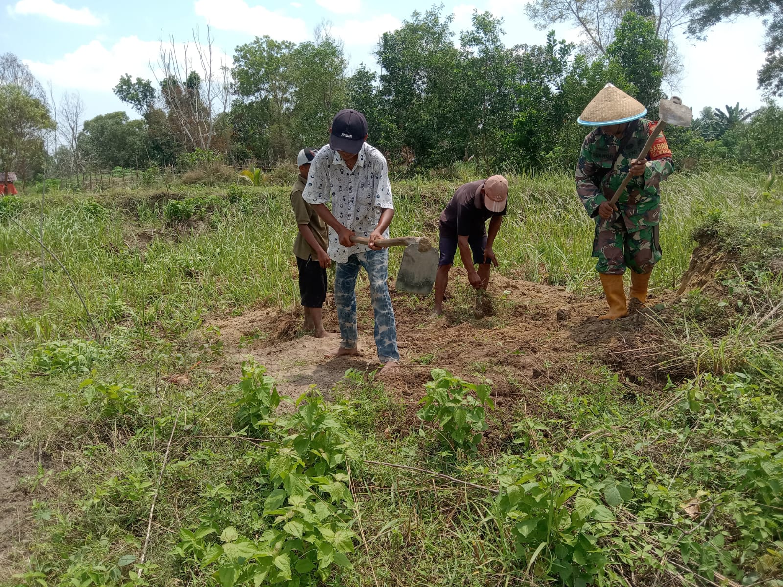 Serka Suandi Bantu Petani Jeruk Nipis dan Berikan Edukasi