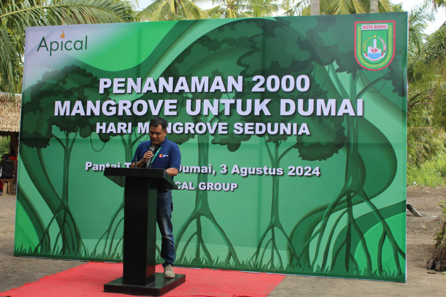 Apical Dumai Lakukan Aksi Penanaman 2.000 Magrove Di Pantai Taisan