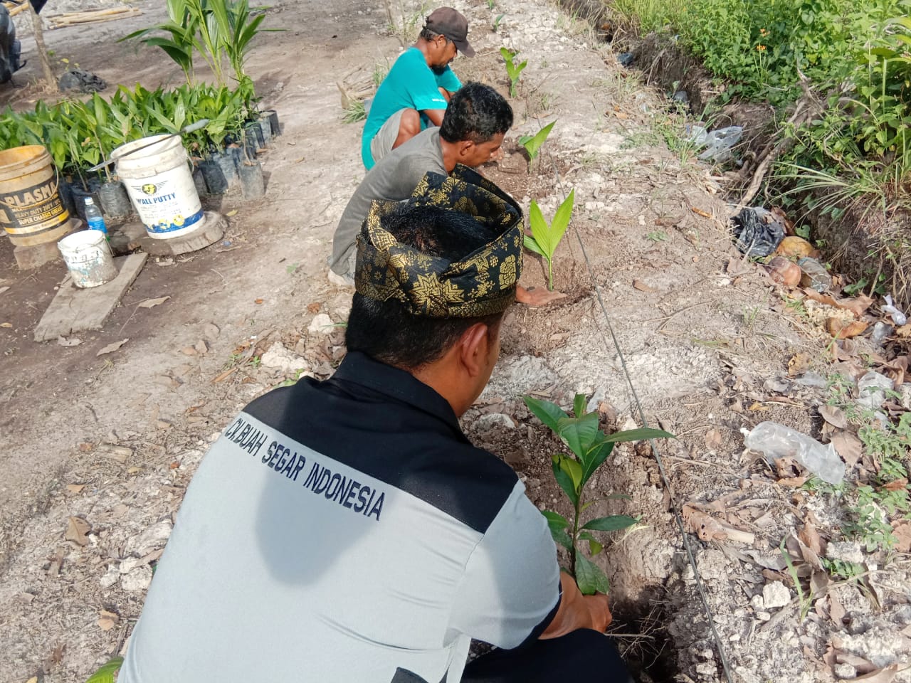 Dirut CV. Buah Segar Indonesia Sarankan Masyarakat Dumai Tanam Manggis