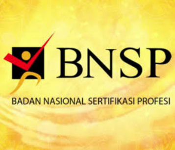 BNSP Bantah Larang Dewan Pers Laksanakan UKW