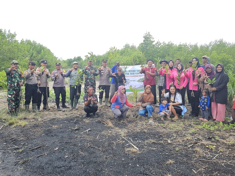 Penanaman Mangrove Bersama Koperasi Mekar Sari Jaya Dan Kelompok Tani Karya Lestari Di Kecamatan Rupat Utara