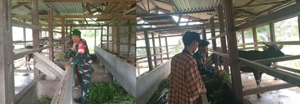 Pemantauan PMK Hewan Di Desa Dungun Baru, Tidak Di Temukan Kasus