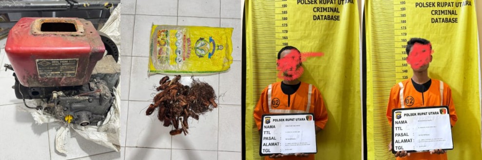 Kapolsek Rupat Utara Berhasil Ungkap Kasus Pencurian Dan Pemberatan, Dua Pelaku Diamankan