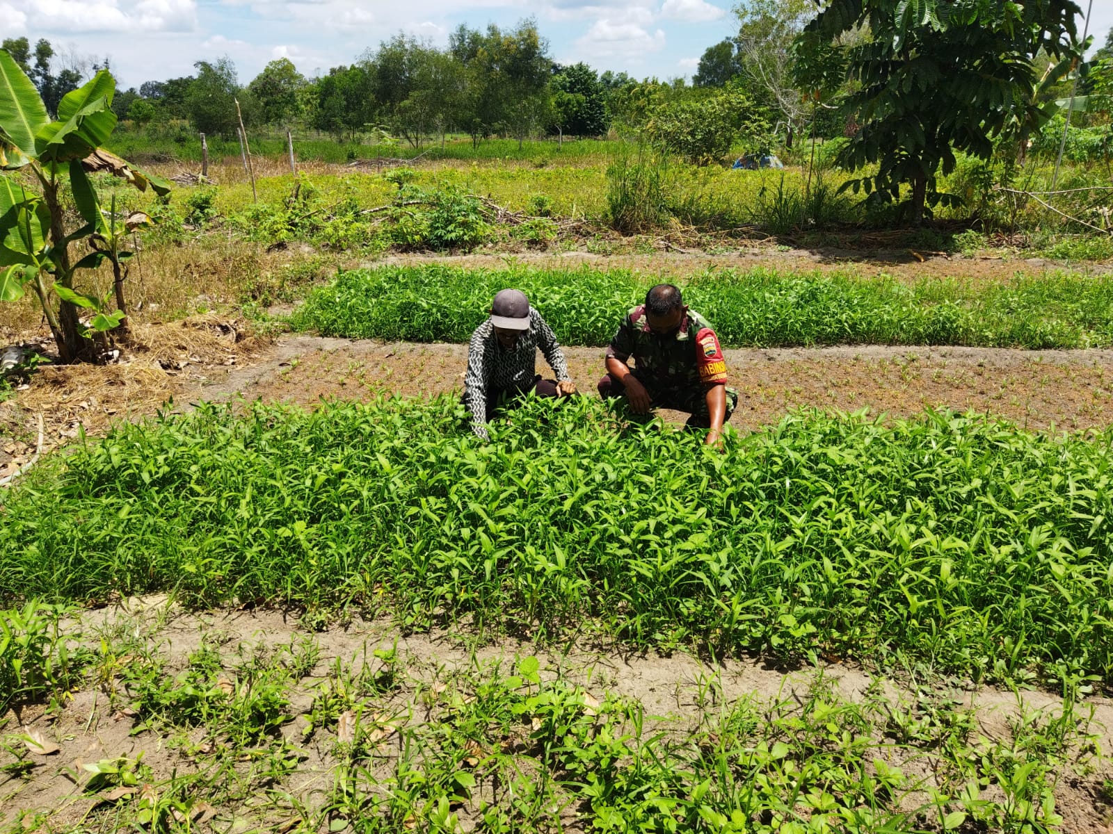 Sertu Abu Kasim Ingatkan Petani Untuk Jangan Buka Lahan Dengan Cara Dibakar