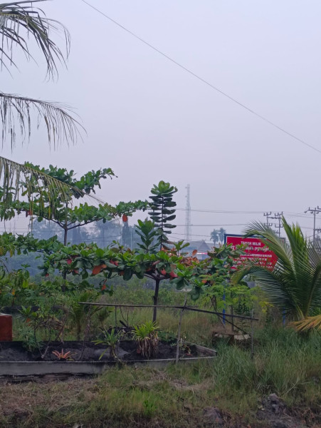 Lebaran Pertama Idul Fitri 1444 H Di Kota Dumai Berasap, Alfien : Kita Fikir Riau Sudah Bebas Dari Asap
