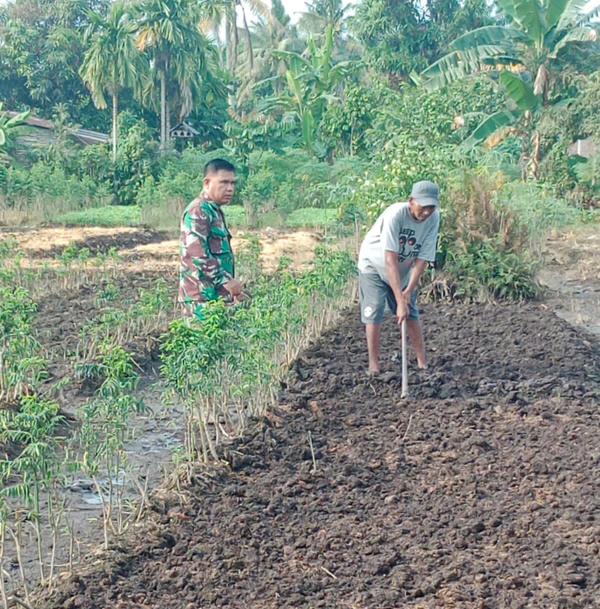 Sertu Mahyudin Membantu Petani Kangkung di Wilayah Binaannya