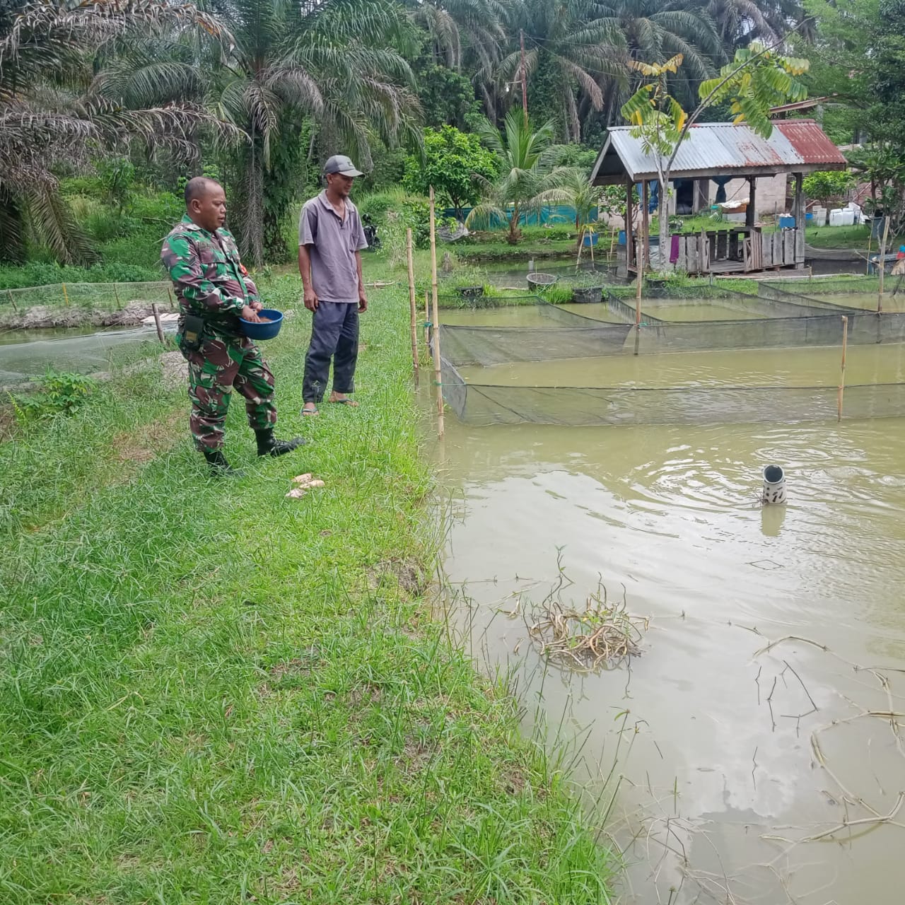 Sertu Sareh Laksanakan Pendampingan Kepada Peternak Ikan