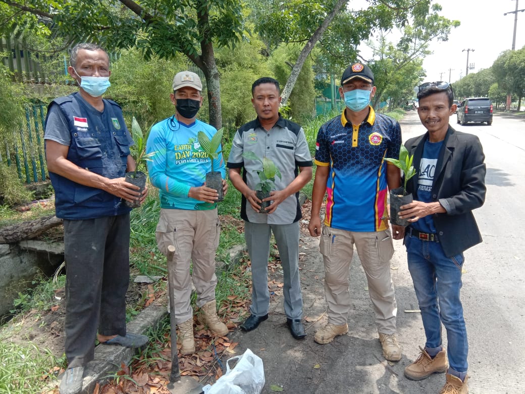Lurah Buluh Kasap Bersama Lembaga Jemad Tanam Manggis Dan Pinang Batara